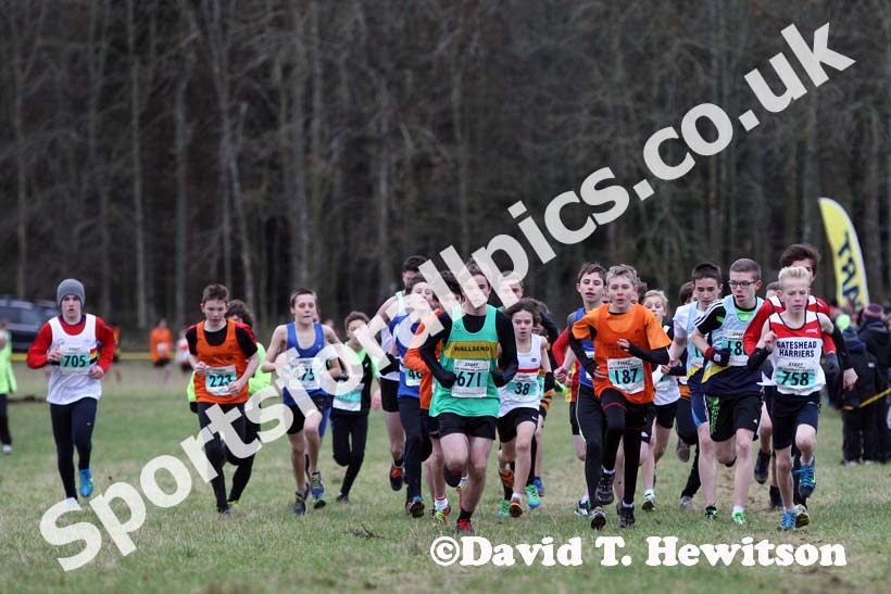 Under-15 boys start North East Harrier League, Wallington Hall, organised by Morpeth Harriers. Photo: David T. Hewitson/Sports for All Pics